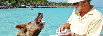 This Is A Great Way To Spend A Day In The Bahamas